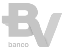 logo bv